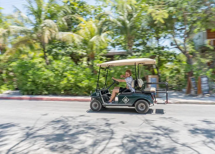 Mayan Monkey Isla Mujeres - Social Hotel (Adults Only)