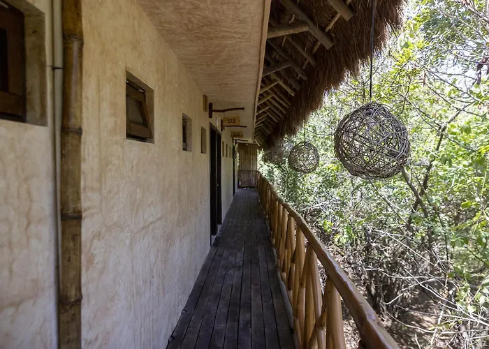 Mayan Monkey Isla Mujeres - Social Hotel (Adults Only)