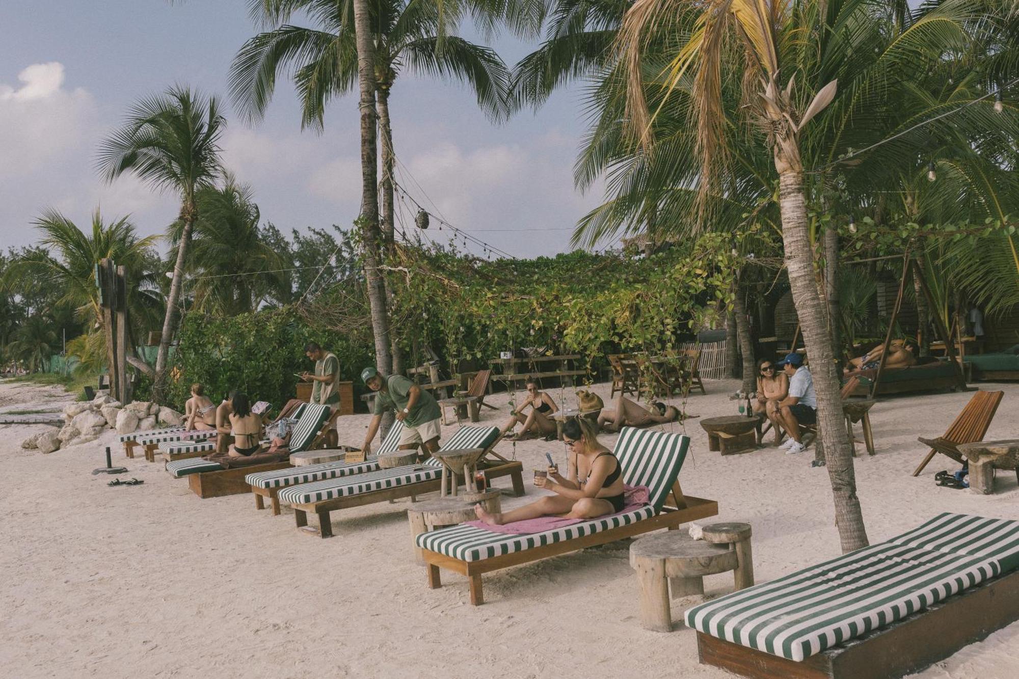 Mayan Monkey - Social (adults Only) Isla Mujeres