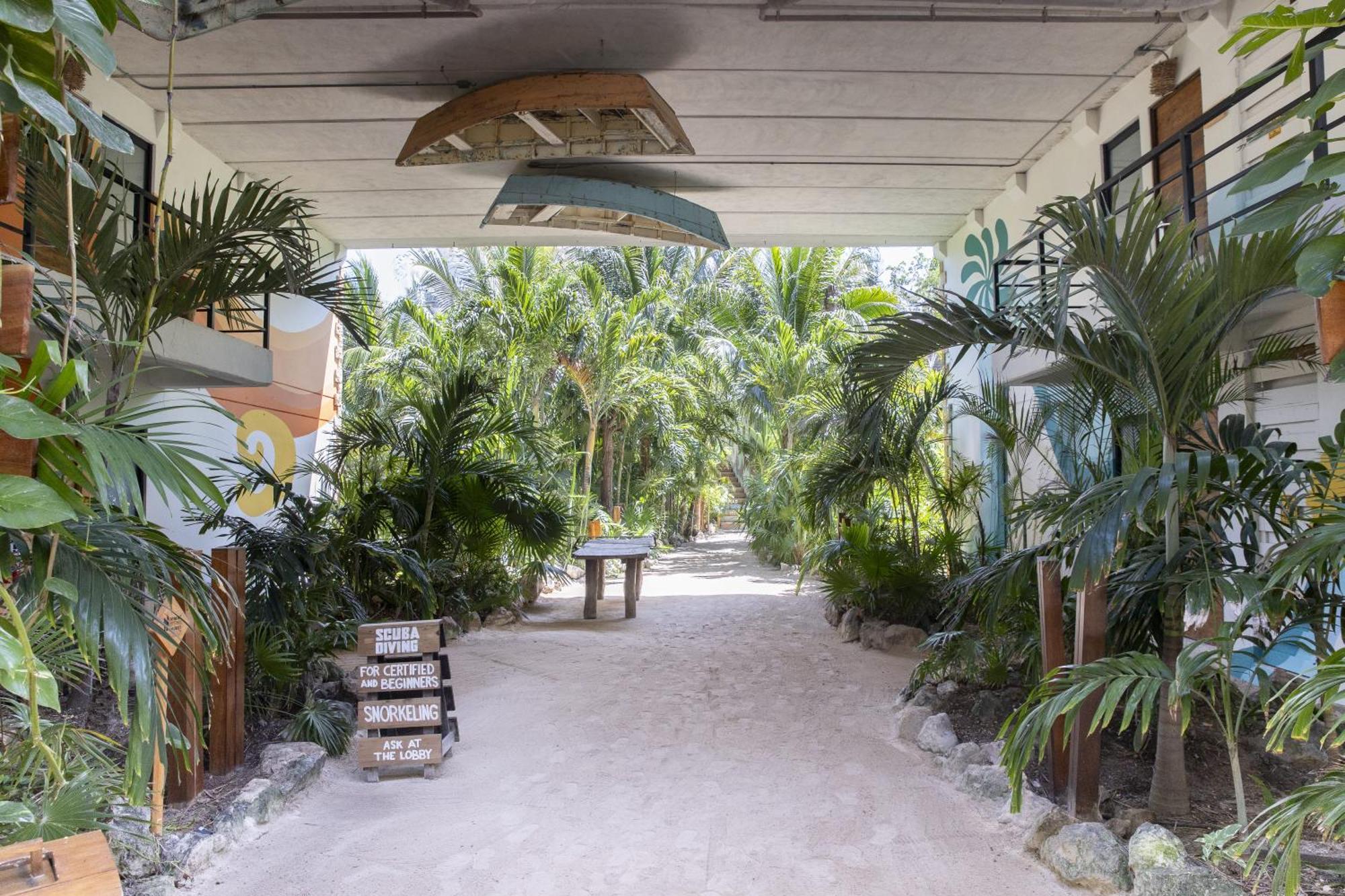 Mayan Monkey - Social (adults Only) 4* Isla Mujeres