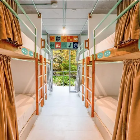 Mayan Monkey Isla Mujeres - Social Hotel (Adults Only) Exterior photo